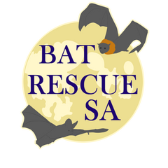 Bat Rescue South Australia Incorporated