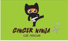 Ginger Ninja Rescue