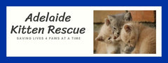Adelaide Kitten Rescue Incorporated