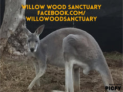 Willow Wood Sanctuary