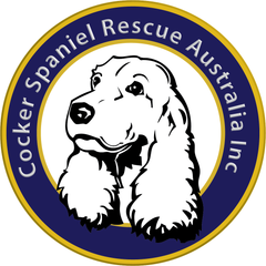 Cocker Spaniel Rescue Australia