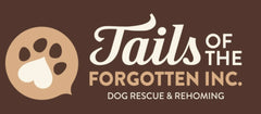 Tails of the Forgotten Inc