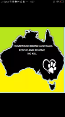 Homeward Bound Australia Rescue And Rehome