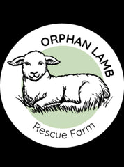 Orphan lamb rescue farm