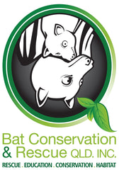 Bat Conservation and Rescue Qld Inc