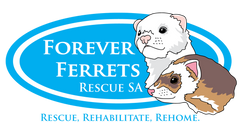 Forever Ferrets Rescue SA Inc