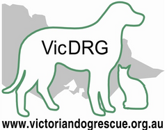 Victorian Dog Rescue and Resource Group Inc